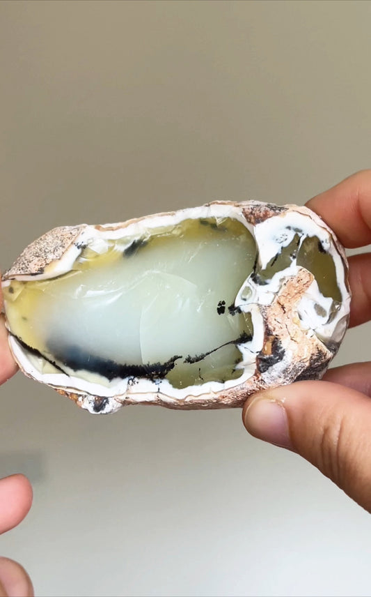 Turkish Dendritic Opal rough