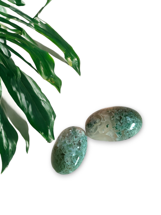 Moss agate palm stone