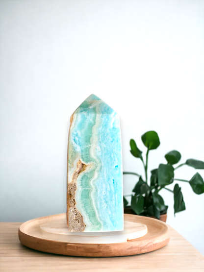 Caribbean calcite tower